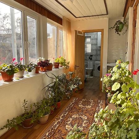 Gulnara Guest House Balyktschy Exterior foto
