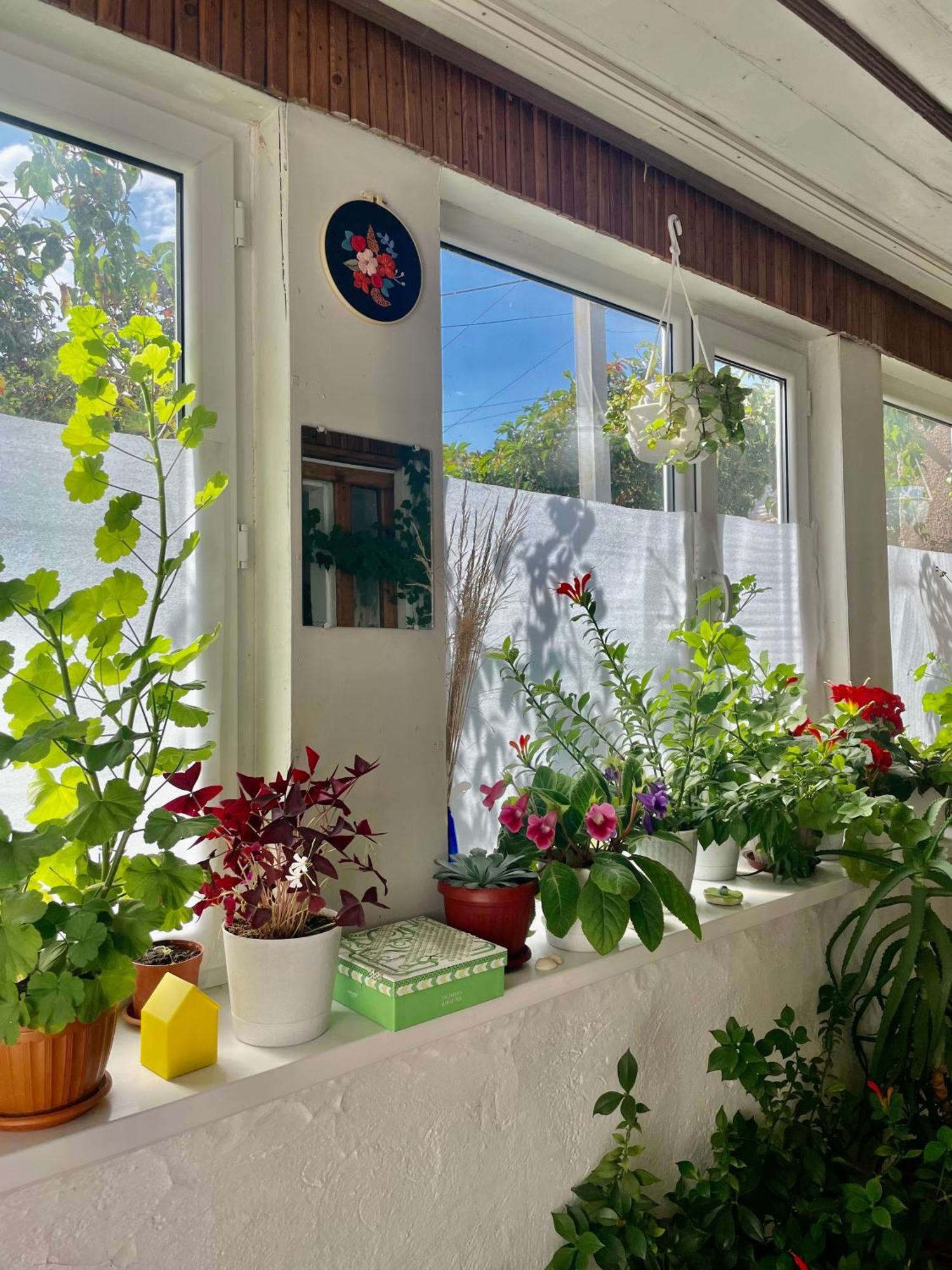 Gulnara Guest House Balyktschy Exterior foto